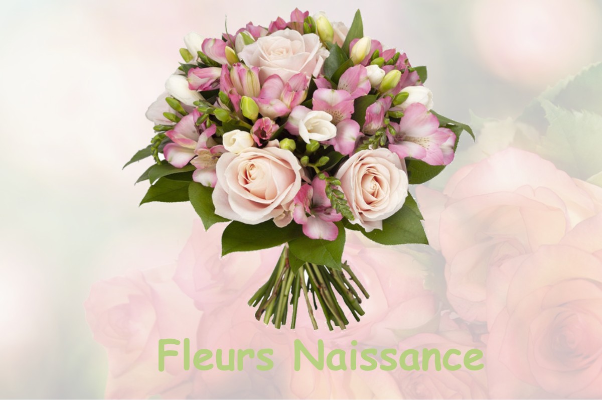 fleurs naissance NOIRONTE