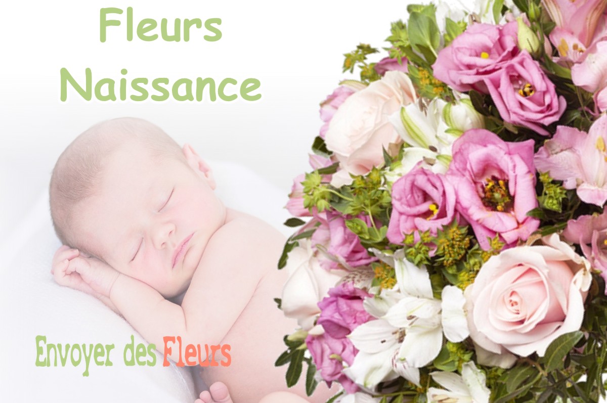 lIVRAISON FLEURS NAISSANCE à NOIRONTE